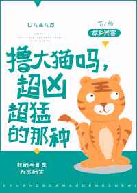 撸各种品种猫